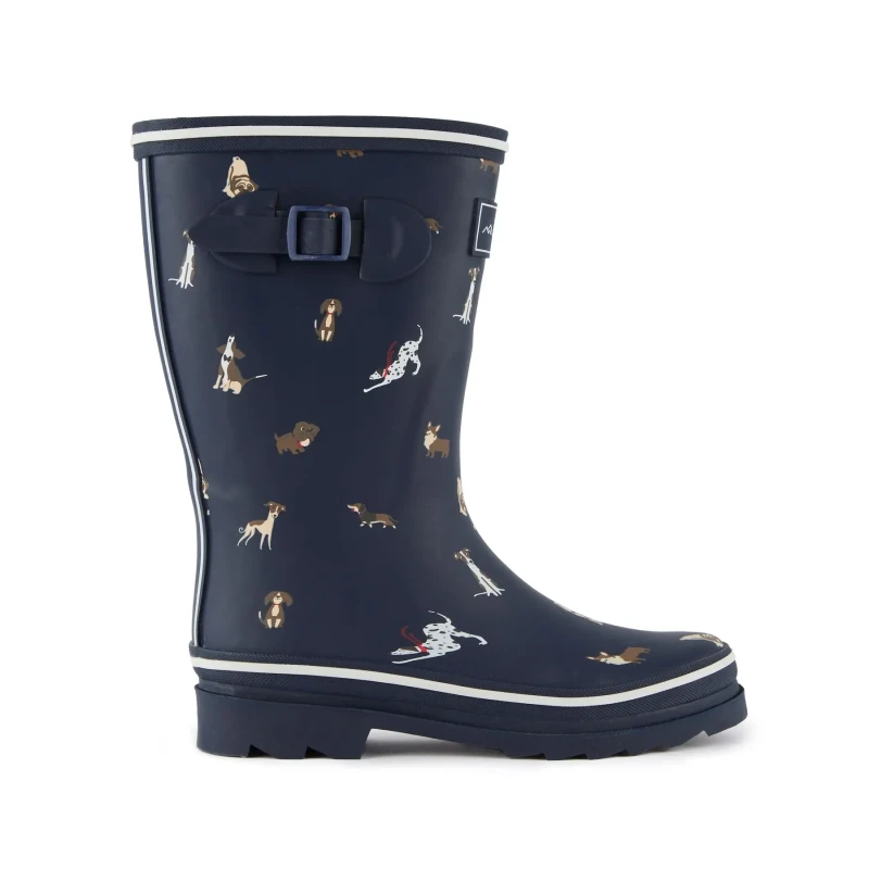 Image of Womens rain boots Regatta Amelia Bleu Female 42