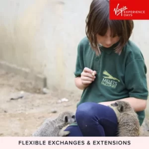 Image of Junior Animal Keeper Experience at Millets Falconry Centre