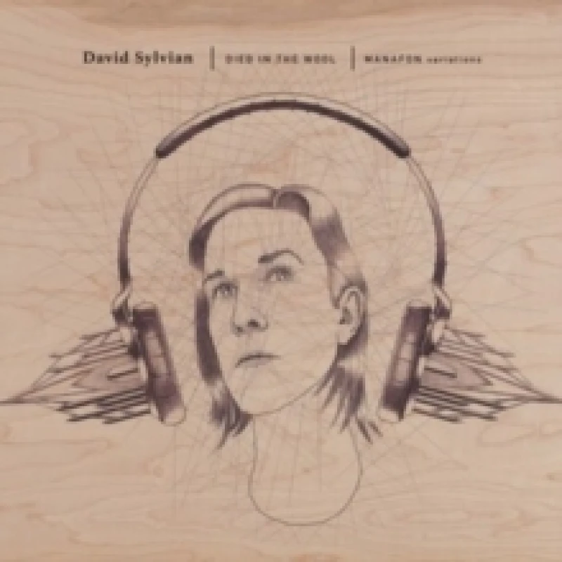 Image of Died in the Wool: Manafon Variations Vinyl