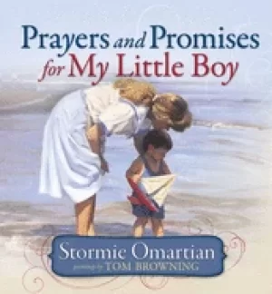 Image of prayers and promises for my litt