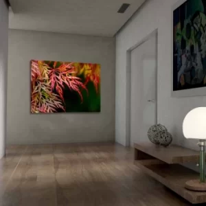 Image of 701002021C-027 Multicolor Decorative Canvas Painting