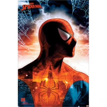 image of Spiderman - Protector Maxi Poster