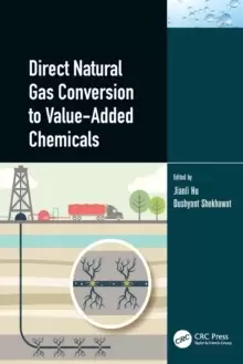 Image of Direct Natural Gas Conversion to Value-Added Chemicals