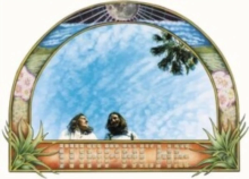 Image of Mapache Vinyl