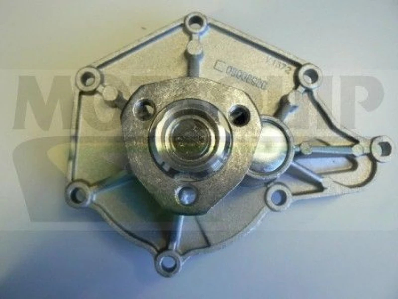 Image of MOTAQUIP Water pump MOTAQUIP VWP852