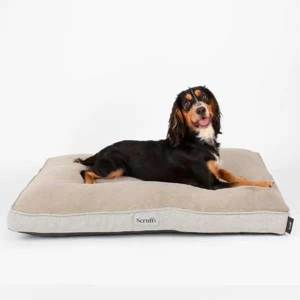 Image of Scruffs Harvard Memory Foam Orthopaedic Mattress Pearl (Ivory)