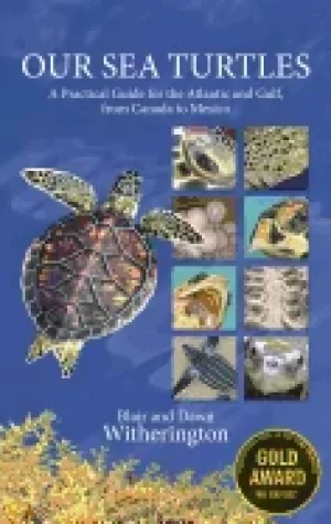 Image of our sea turtles a practical guide for the atlantic and gulf from canada to