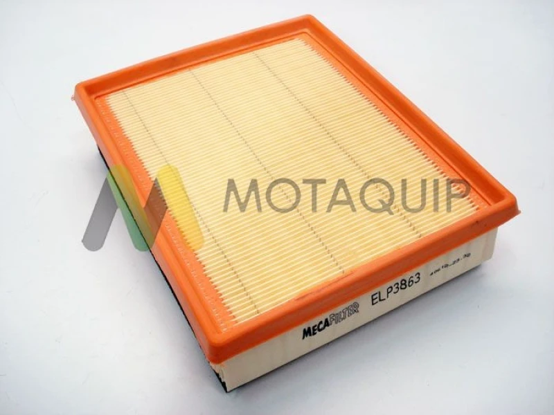 Image of MOTAQUIP Air filter MOTAQUIP LVFA1438