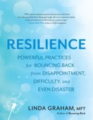 Image of resilience powerful practices for bouncing back from disappointment diffic