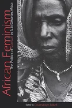 Image of african feminism the politics of survival in sub saharan africa