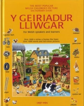 Image of Y Geiriadur Lliwgar by Heather Amery Hardback