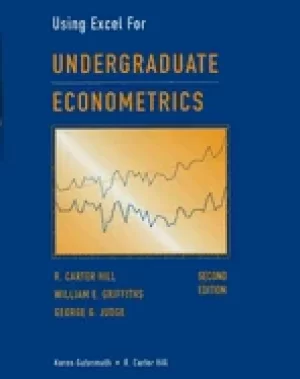 Image of undergraduate econometrics using excel for