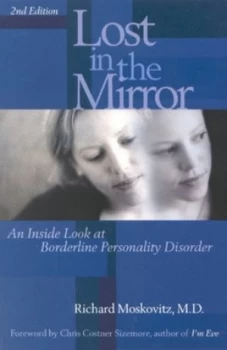 Image of Lost in the Mirror by Richard Maskovitz Book
