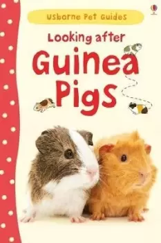 Image of Looking after Guinea Pigs by Laura Howell