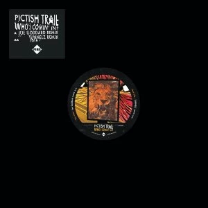 Image of Pictish Trail - Who's Comin' In? Vinyl