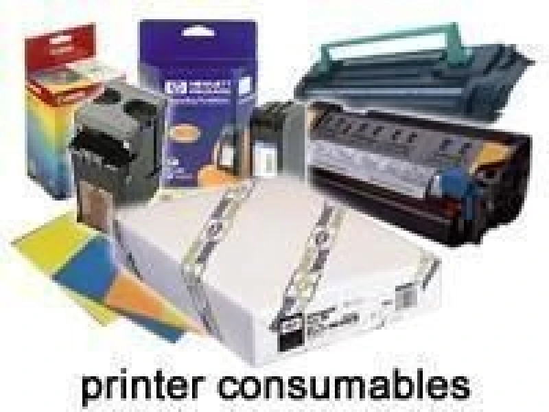 Image of Epson Epson Premium Glossy Photo Paper Roll, 44" x 30,5 m, 260g/m² C13S041640