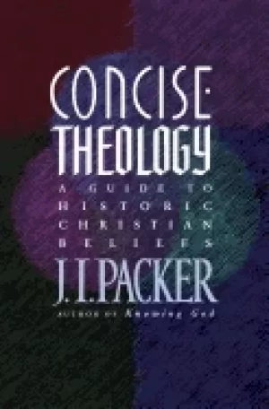 Image of concise theology a guide to historic christian beliefs