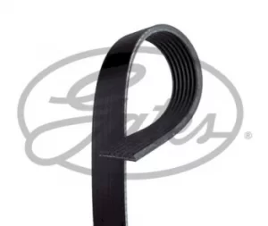 Image of Micro-V Multi-Rib Stretch Fit Belt Gates 7PK1458XS