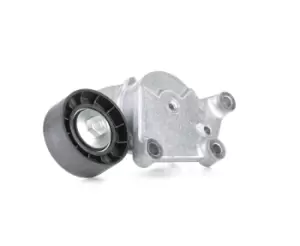 Image of SNR Tensioner Pulley GA359.19 Tensioner Pulley, v-ribbed belt PEUGEOT,CITROEN,MINI,207 (WA_, WC_),207 CC (WD_),307 SW (3H),208 I Schragheck (CA_, CC_)