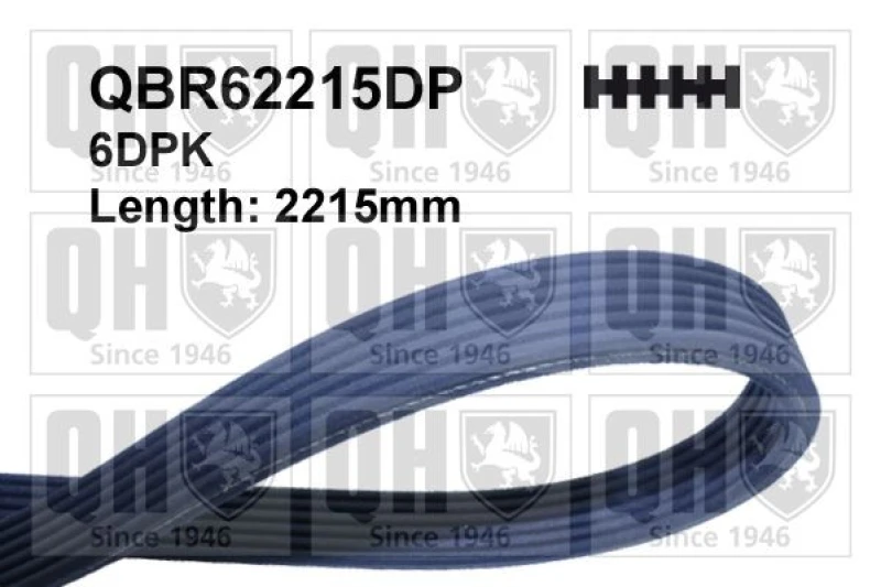 Image of QUINTON HAZELL Serpentine belt QUINTON HAZELL QBR62215DP