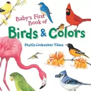 Image of babys first book of birds and colors