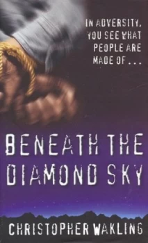 Image of Beneath the Diamond Sky by Christopher Wakling Book