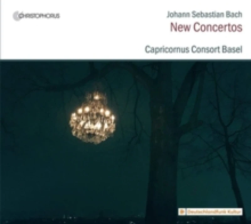 Image of Johann Sebastian Bach: New Concertos: Organ Works On Strings CD / Album