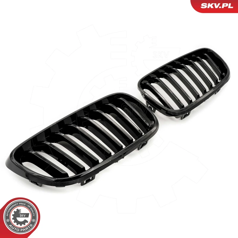 Image of ESEN SKV Radiator Grille ESEN SKV 66SKV029