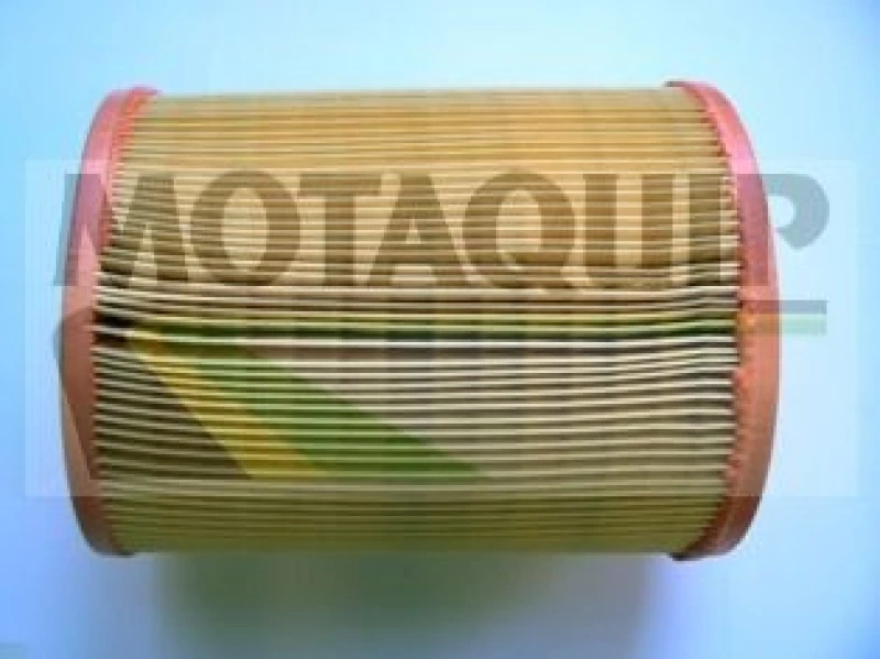 Image of MOTAQUIP Air filter MOTAQUIP VFA1225