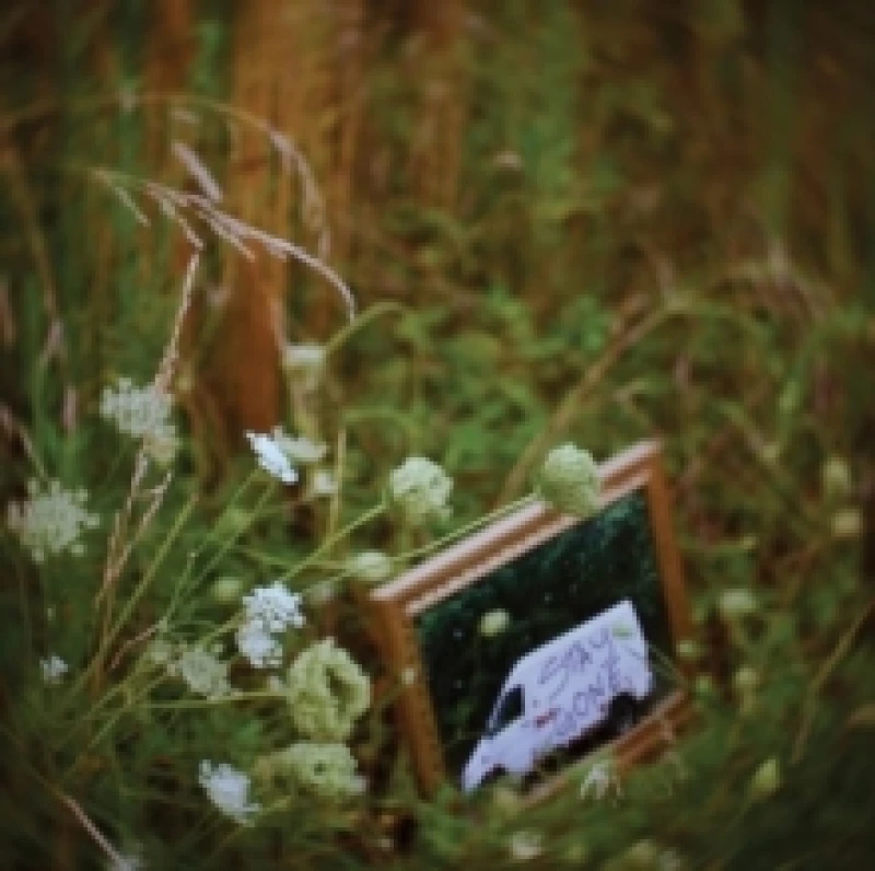 Image of Stay Gone Vinyl