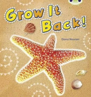 Image of Grow It Back by Diana Noonan Paperback