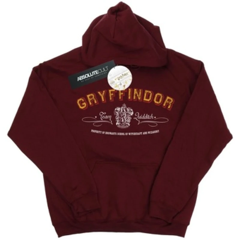 Image of Harry Potter Gryffindor Team Quidditch Hoodie Burgundy male