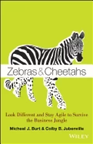 Image of zebras and cheetahs