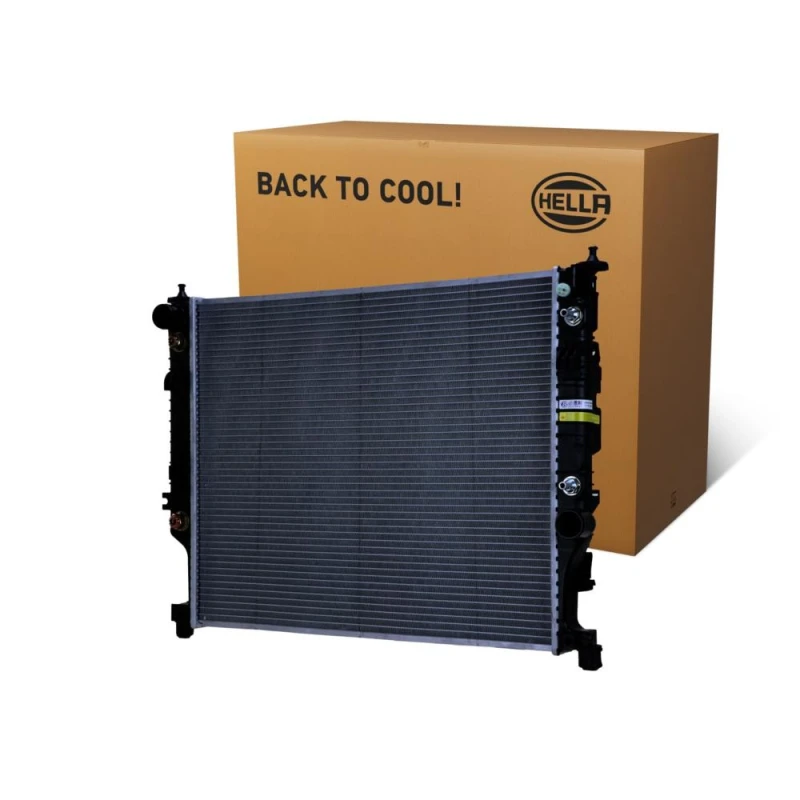 Image of HELLA Engine radiator HELLA 8MK 366 301-051