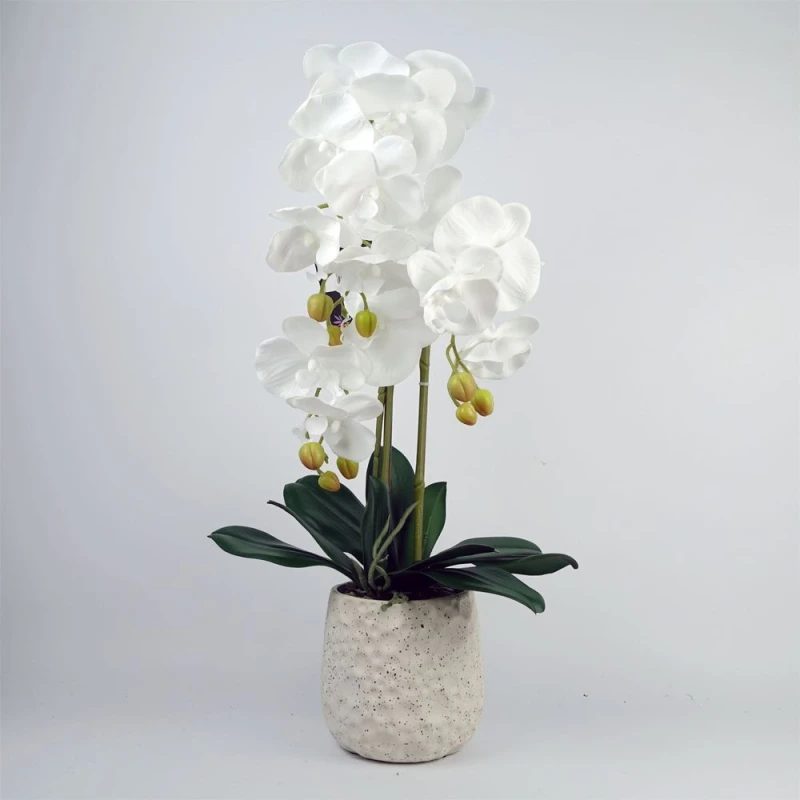 Image of Leaf Artificial White Orchid with Ceramic Bubble Planter Botanik Green