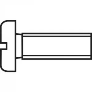 Image of TOOLCRAFT 815950 Allen screws M6 60 mm Slot DIN 84 ISO 1207 Plastic, Polyamide 10 pc(s)