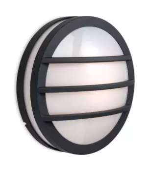 Image of Zenith 1 Light Wall/Flush Ceiling Pendant Light Graphite, Opal Diffuser IP54, E27
