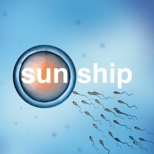 Image of The Brian Jonestown Massacre ‎- The Sun Ship Vinyl