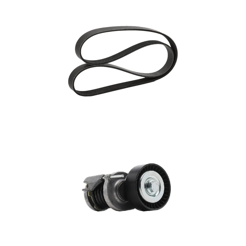 Image of goCORE GCE420059 V-ribbed belt set V-Ribbed Belt Set (542)