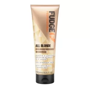 image of All Blonde Colour Booster Shampoo 250ml