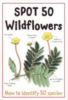 Image of Spot 50 Wildflowers Paperback