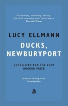 Image of Ducks Newburyport by Lucy Ellmann
