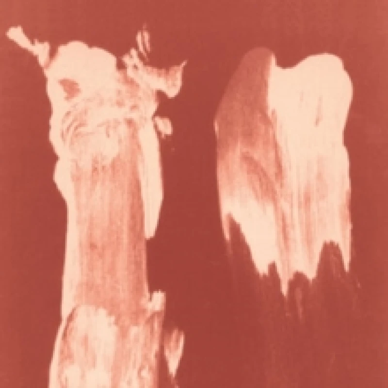 Image of Arch of Motion CD / Album