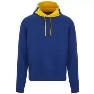 image of Ayrton Senna FW Mens Stripe Hoody (Navy)