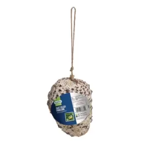 Image of Gardman Suet Filled Pinecone for Wild Birds