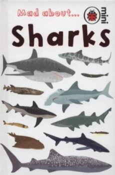 Image of Mad about- Sharks by Deborah Murrell and Sue Hendra and Shark Trust Hardback
