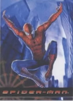 Image of Spiderman Annual 2003 Hardback