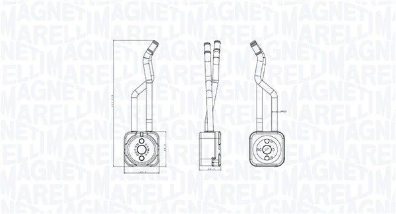 Image of MAGNETI MARELLI Engine oil cooler MAGNETI MARELLI 350300003800