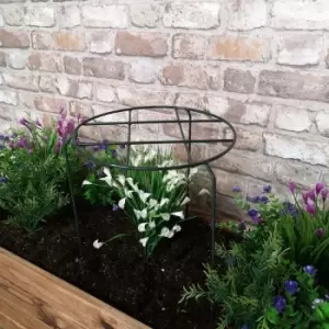 Image of Tom Chambers Urban Dark Green Metal Herbaceous Garden Plant Support Grow Through Medium 50cm x 30cm