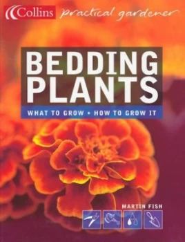 Image of Bedding Plants by Martin Fish Book